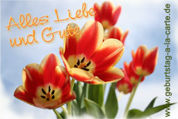 Schne Geburtstagskarte mit Tulpen